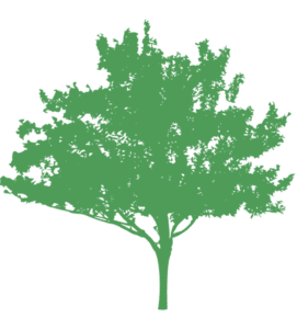 Green logo hawthorn joinery